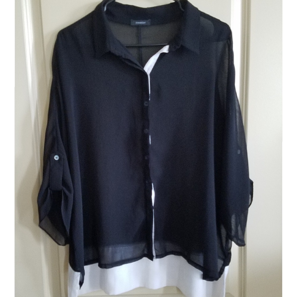 Standout seethrough blouse
